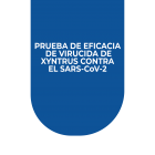 PRUEBA DE EFICACIA DE VIRUCIDA DE XYNTRUS CONTRA EL SARS-CoV-2
